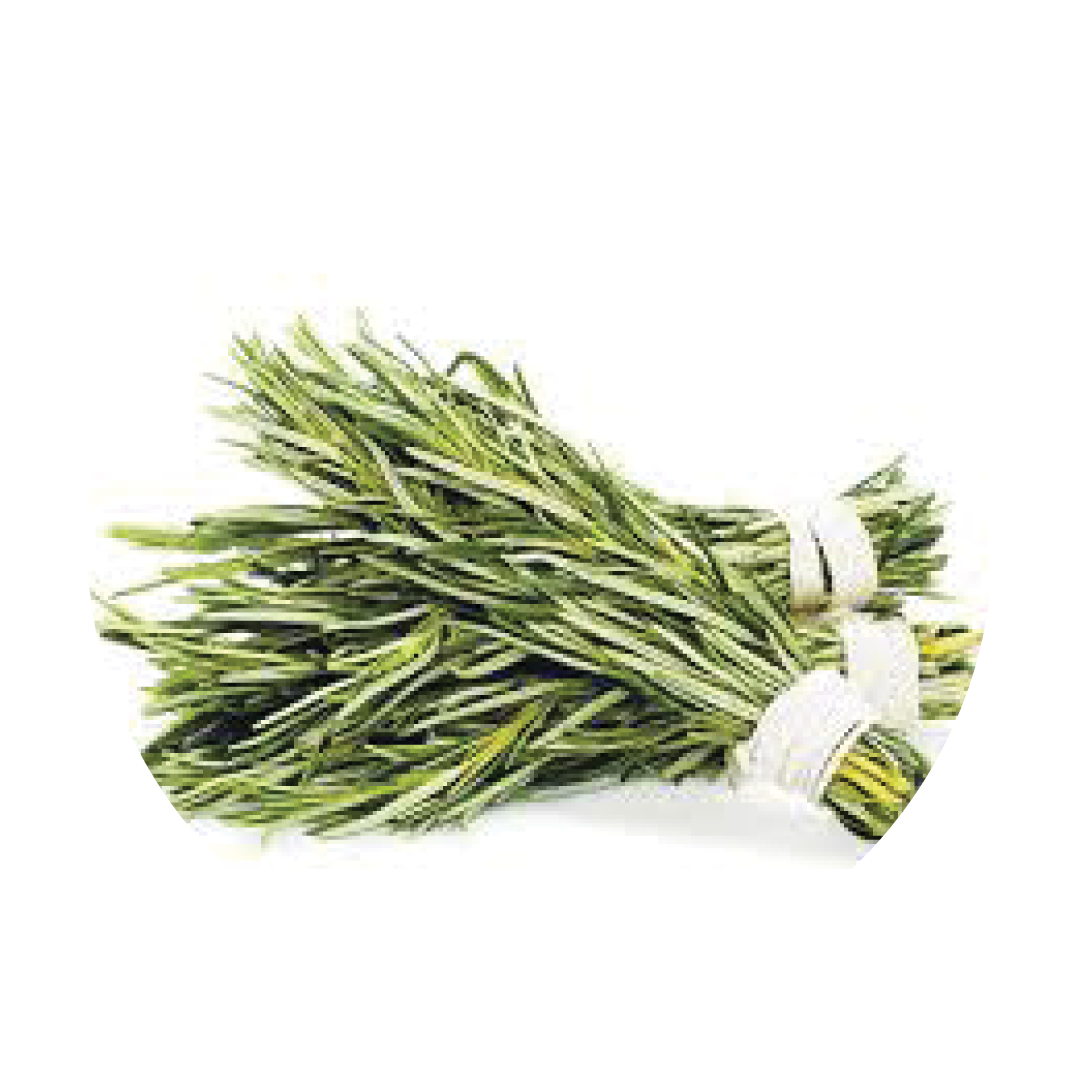 ROSEMARY
